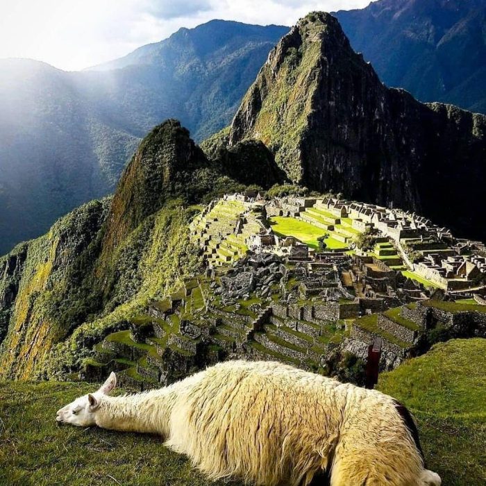 Machu Picchu